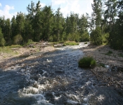 Montana2012 292